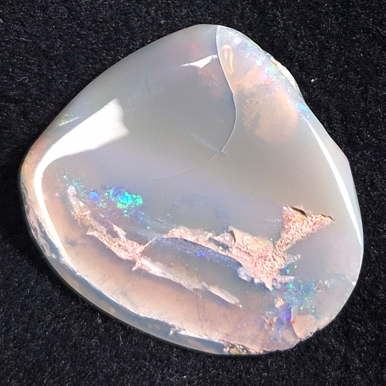 Opal Shell Cyrenopsis sp. Coober Pedy YOS004