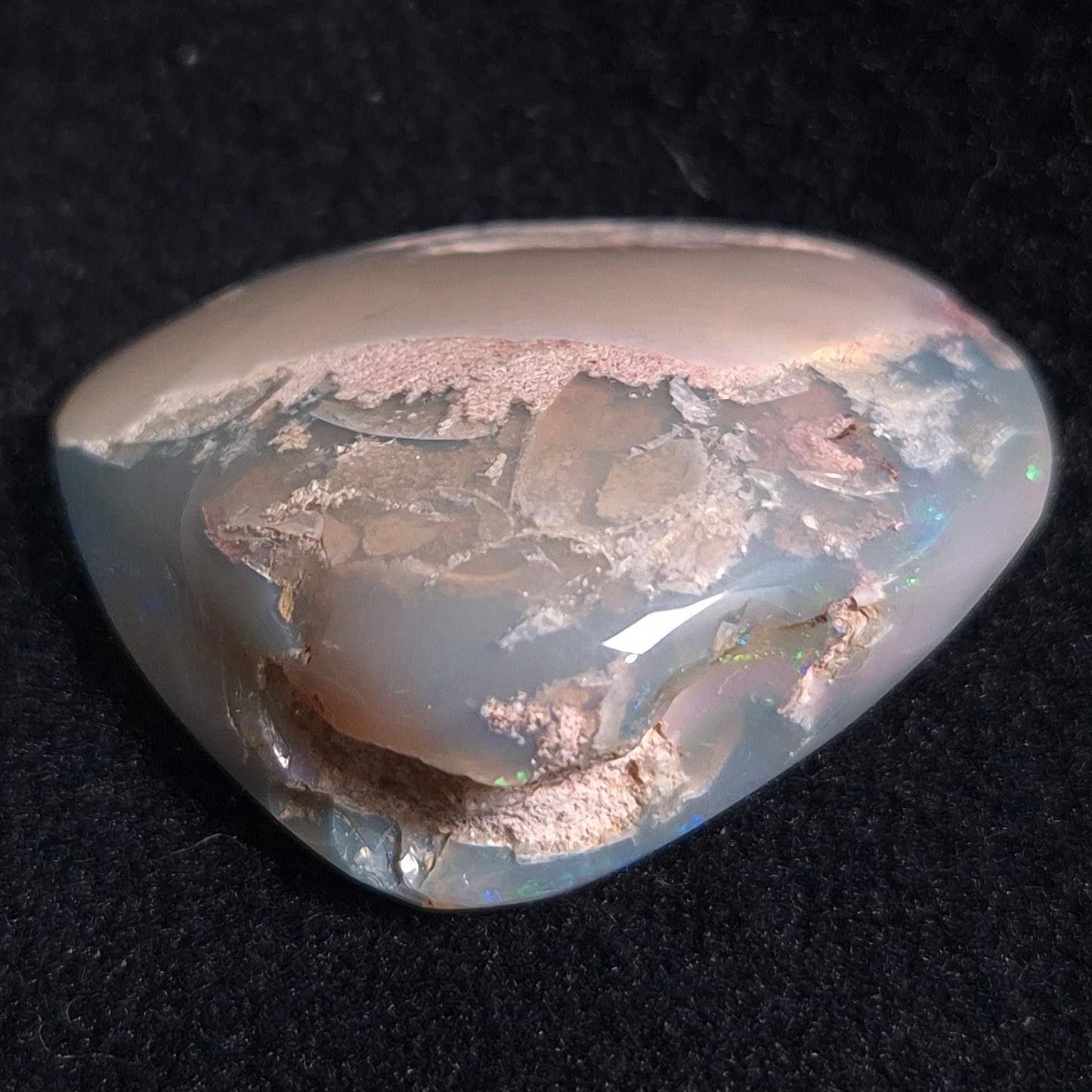 Opal Shell Cyrenopsis sp. Coober Pedy YOS004