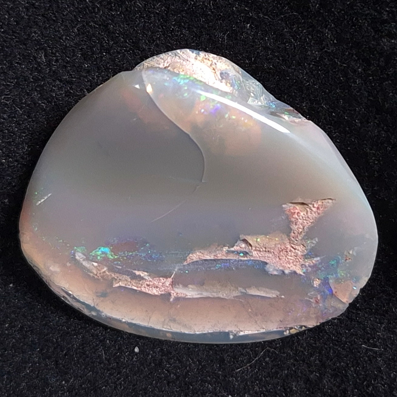 Opal Shell Cyrenopsis sp. Coober Pedy YOS004