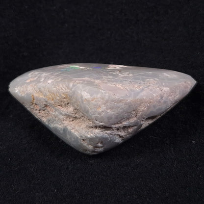 Opal Shell Cyrenopsis sp. Coober Pedy YOS005