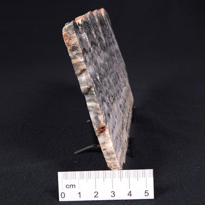 Stromatolite from the Mount McGrath Formation ZMG008