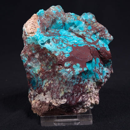 Chrysocolla with Cuprite Rough from Mt. Isa ZRC001