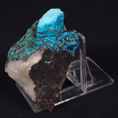 Chrysocolla with Cuprite, Malachite and Quartz Rough from Mt. Isa ZRC008