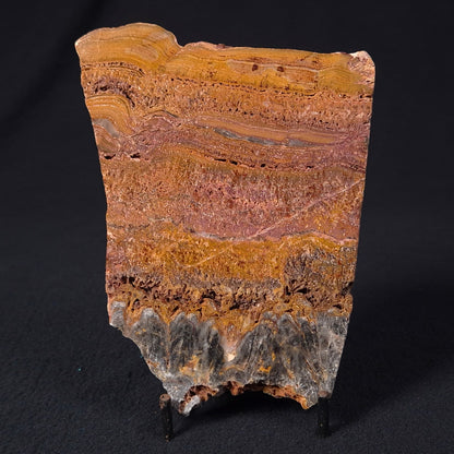 Stromatolite Microbial Mat from the Dresser Formation ZDF013