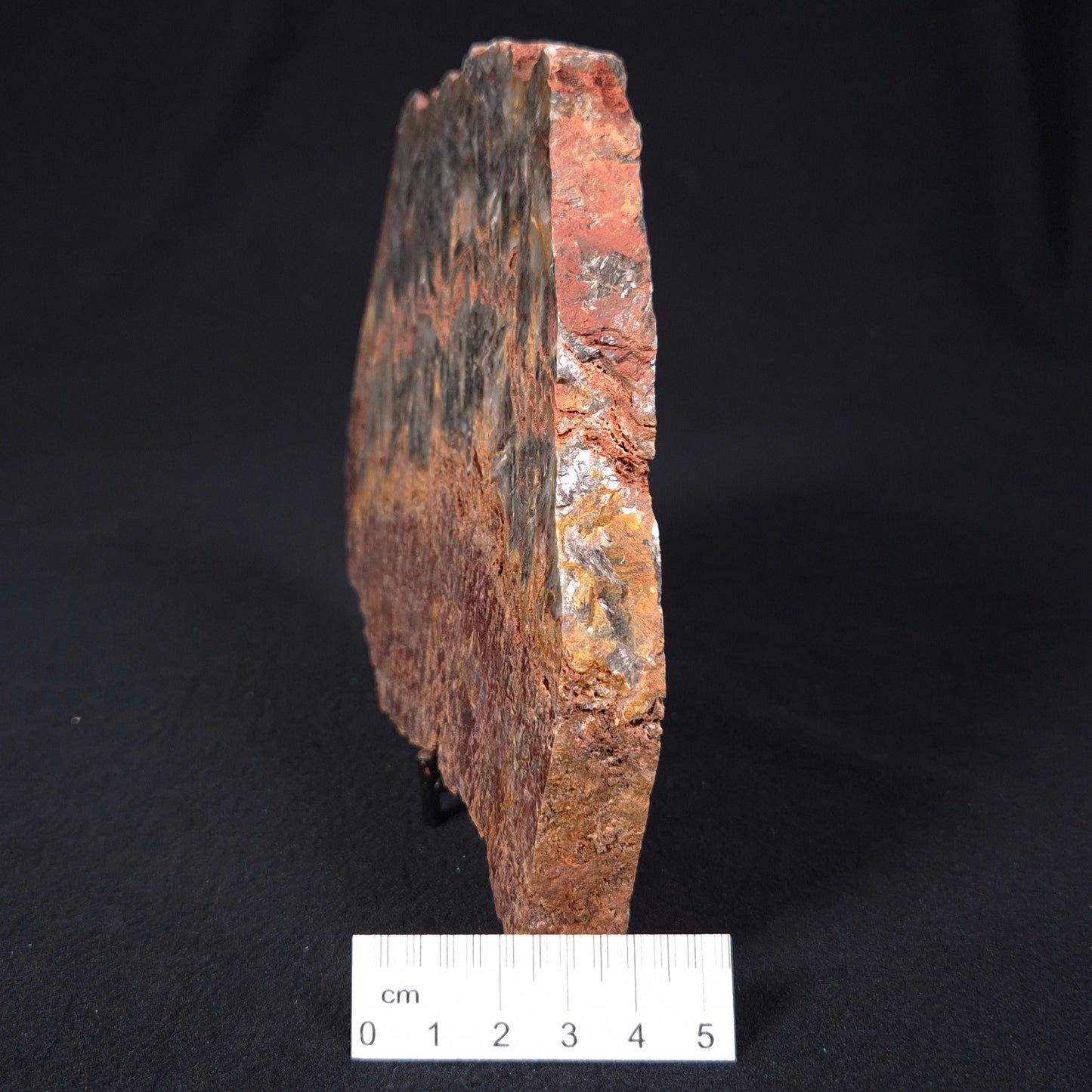 Stromatolite Microbial Mat from the Dresser Formation ZDF014