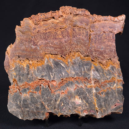 Stromatolite Microbial Mat from the Dresser Formation ZDF015