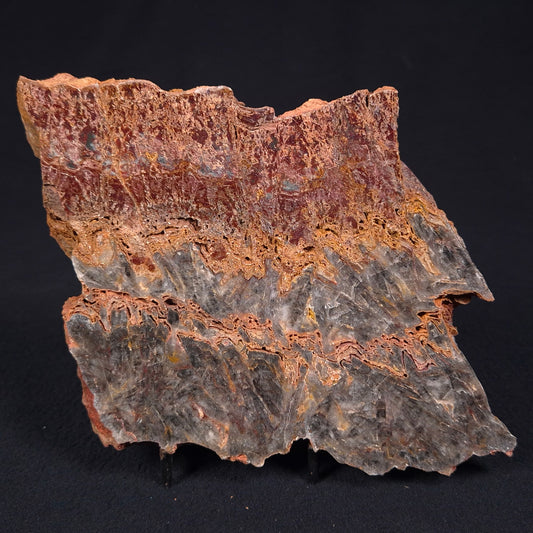 Stromatolite Microbial Mat from the Dresser Formation ZDF016