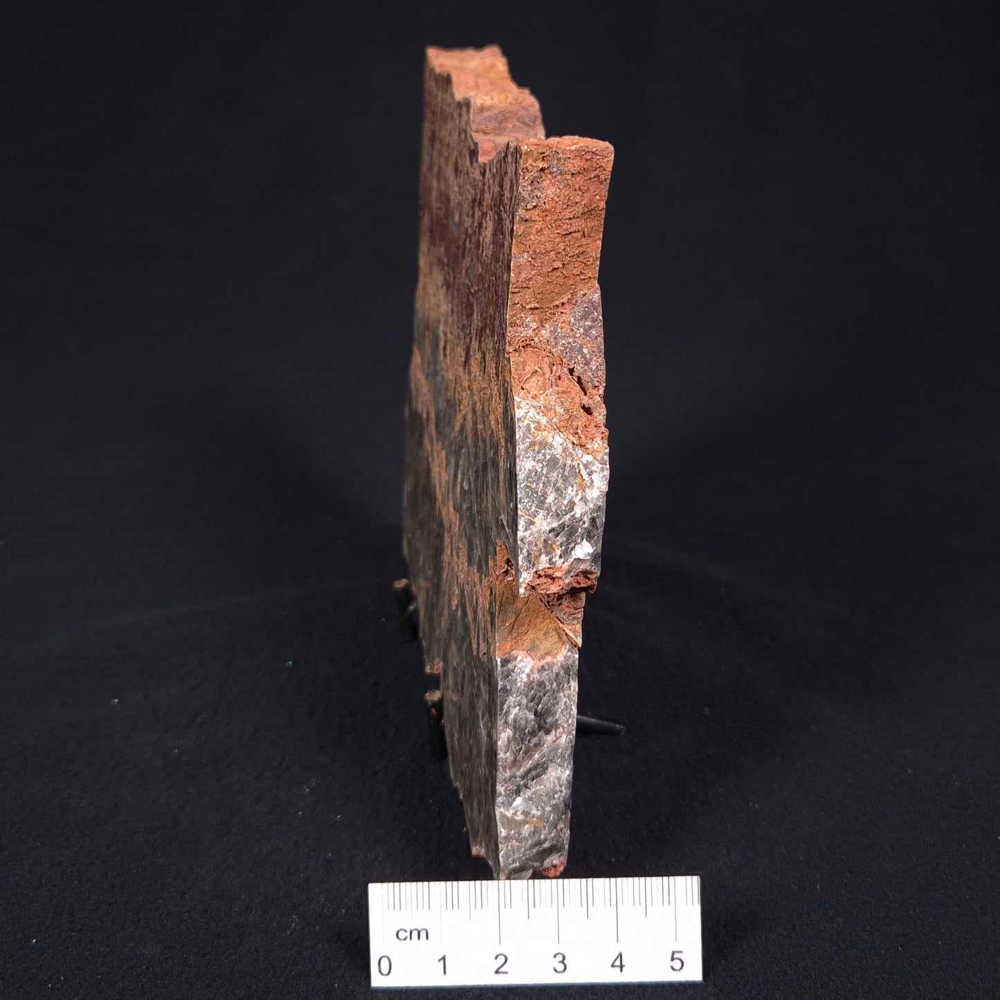 Stromatolite Microbial Mat from the Dresser Formation ZDF016