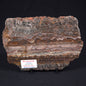 Stromatolite Microbial Mat from the Dresser Formation ZDF017