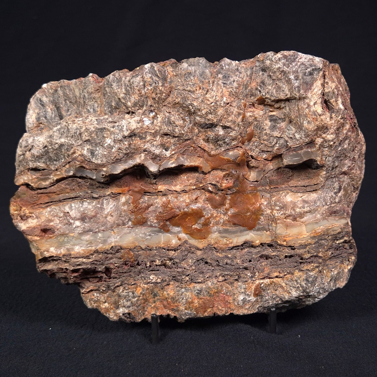 Stromatolite Microbial Mat from the Dresser Formation ZDF017