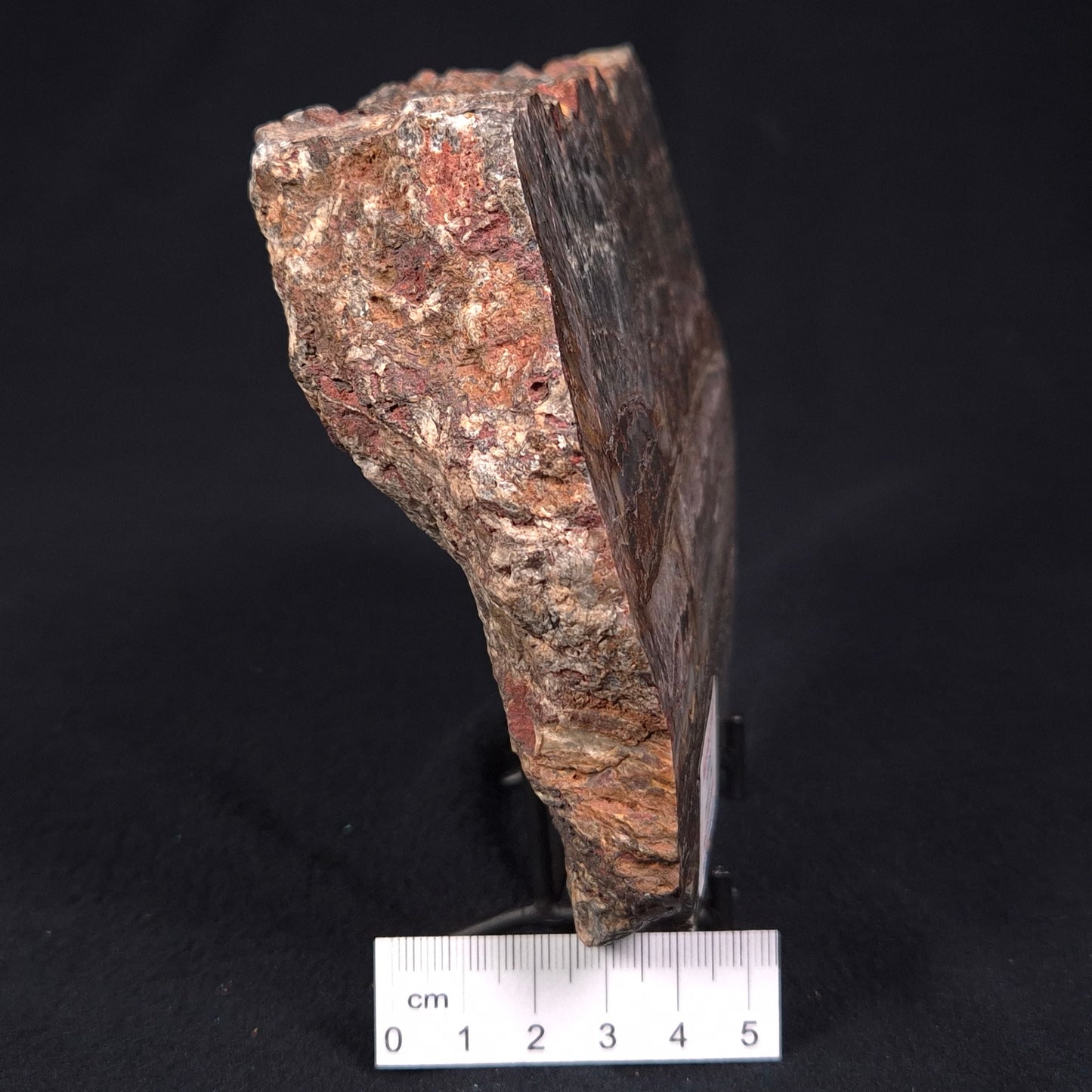 Stromatolite Microbial Mat from the Dresser Formation ZDF017