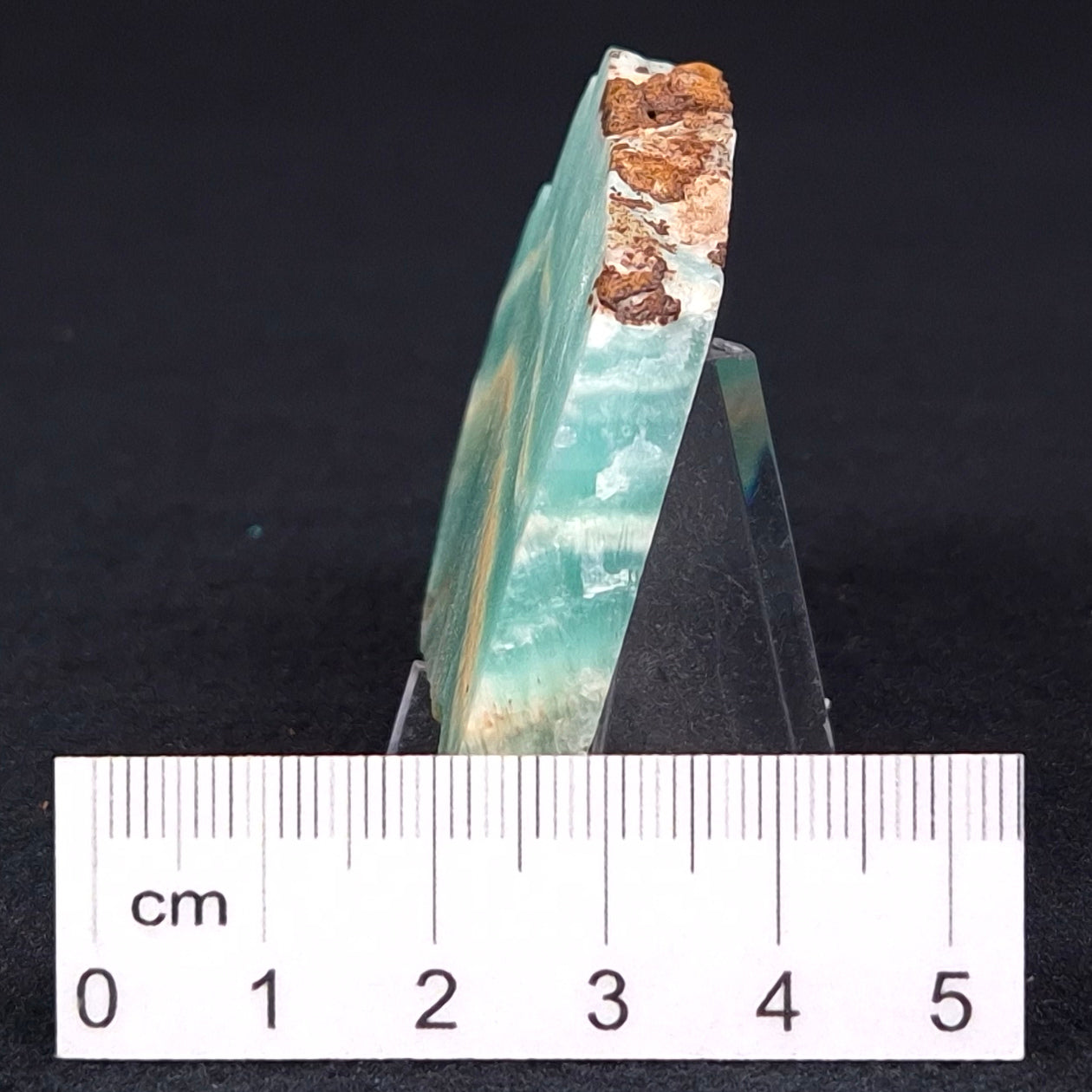 Caribbean Calcite Slab XCC001