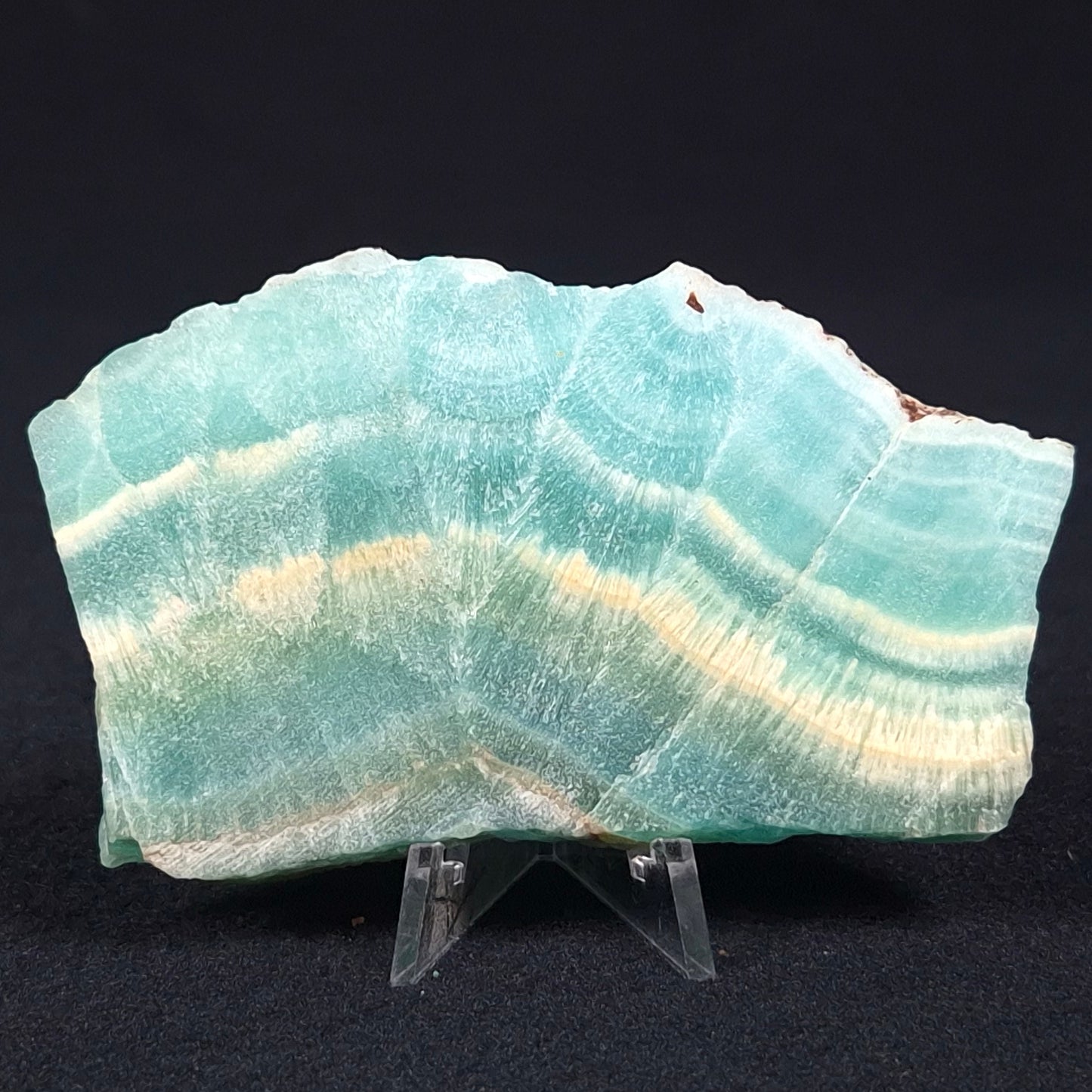 Caribbean Calcite Slab XCC003