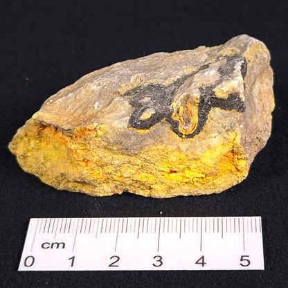 Bumblebee Jasper Rough XBJ004