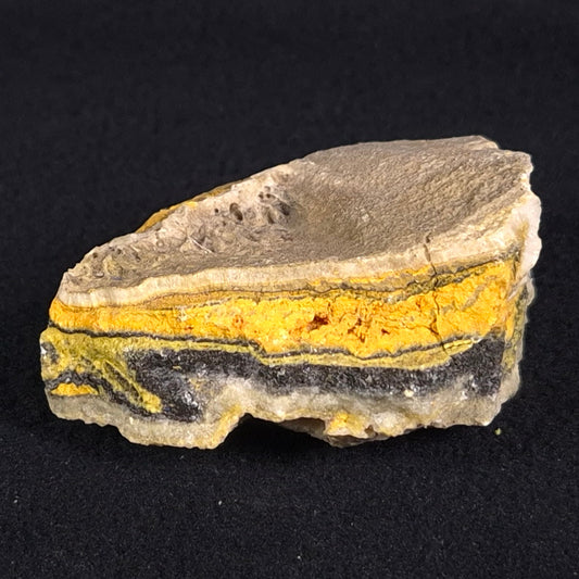 Bumblebee Jasper Rough XBJ005