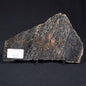 Acasta Gneiss "Oldest Rock" from Canada ZAG011