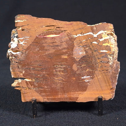 Stromatolite from the Parda Formation ZPF002