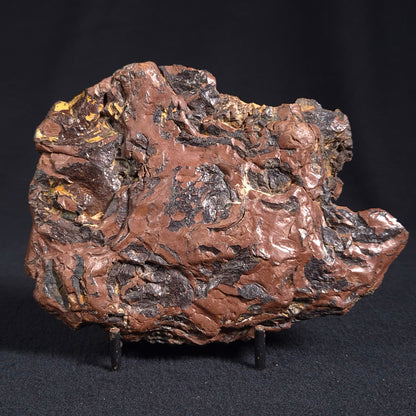 Stromatolite from the Parda Formation ZPF005