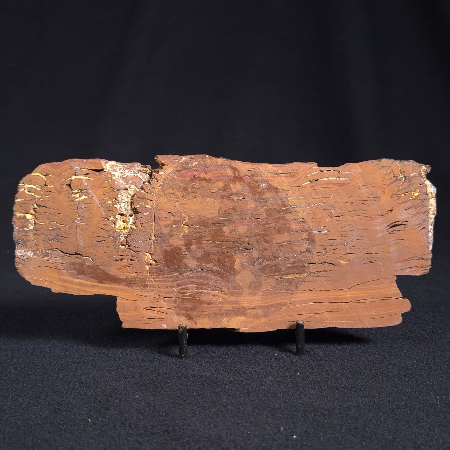 Stromatolite from the Parda Formation ZPF007