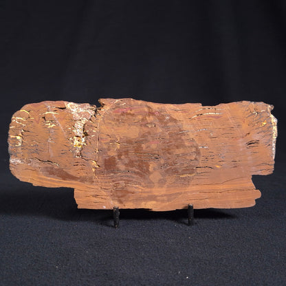 Stromatolite from the Parda Formation ZPF007