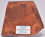 HORODYSKIA Mesoproterozoic 1.4 B.Y.O, AUSTRALIAN FOSSIL F108