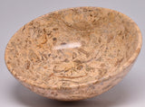 FOSSIL CORAL CARVED BOWL SE16