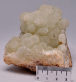 PREHNITE from TAMBAR SPRINGS VOLCANICS, AUSTRALIA M42