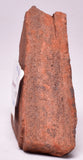 HORODYSKIA Mesoproterozoic 1.4 B.Y.O, AUSTRALIAN FOSSIL F30