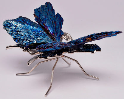 TITANIUM AURA KYANITE BUTTERFLY P183