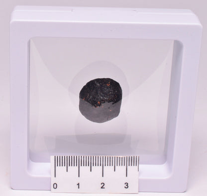 AUSTRALITE, METEORITE FROM SOUTH AUSTRALIA MT120