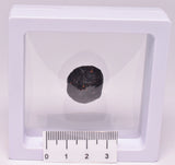 AUSTRALITE, METEORITE FROM SOUTH AUSTRALIA MT86