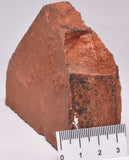 HORODYSKIA Mesoproterozoic 1.4 B.Y.O, AUSTRALIAN FOSSIL F32