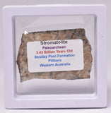 MICROBIAL MAT, STRELLEY POOL SLICE, 3.4byo, Australia S500