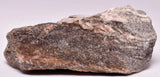 ACASTA GNEISS ROUGH, “OLDEST ROCK" CANADA S104