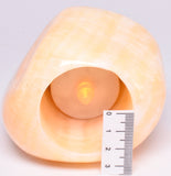 ORANGE CALCITE TEA LIGHT CANDLE HOLDER P12