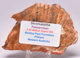 MICROBIAL MAT, STRELLEY POOL SLICE, 3.4byo, Australia S503