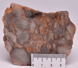 ZIRCON, Metaconglomerate Narryer Gneiss Slice, Jack Hills, Australia S25