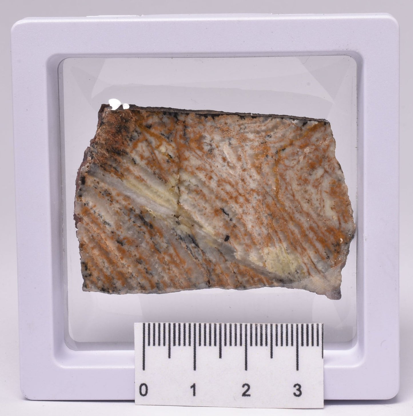 MICROBIAL MAT, STRELLEY POOL SLICE, 3.4byo, Australia S500