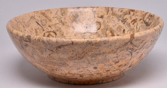 FOSSIL CORAL CARVED BOWL SE16