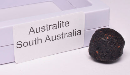 AUSTRALITE, METEORITE FROM SOUTH AUSTRALIA MT120