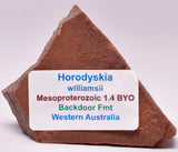 HORODYSKIA Mesoproterozoic 1.4 B.Y.O, AUSTRALIAN FOSSIL F30