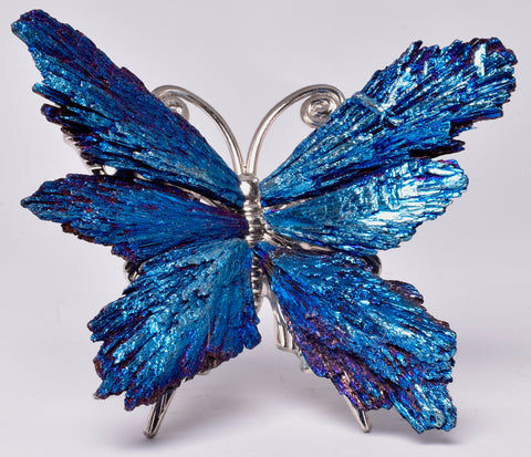 TITANIUM AURA KYANITE BUTTERFLY P15