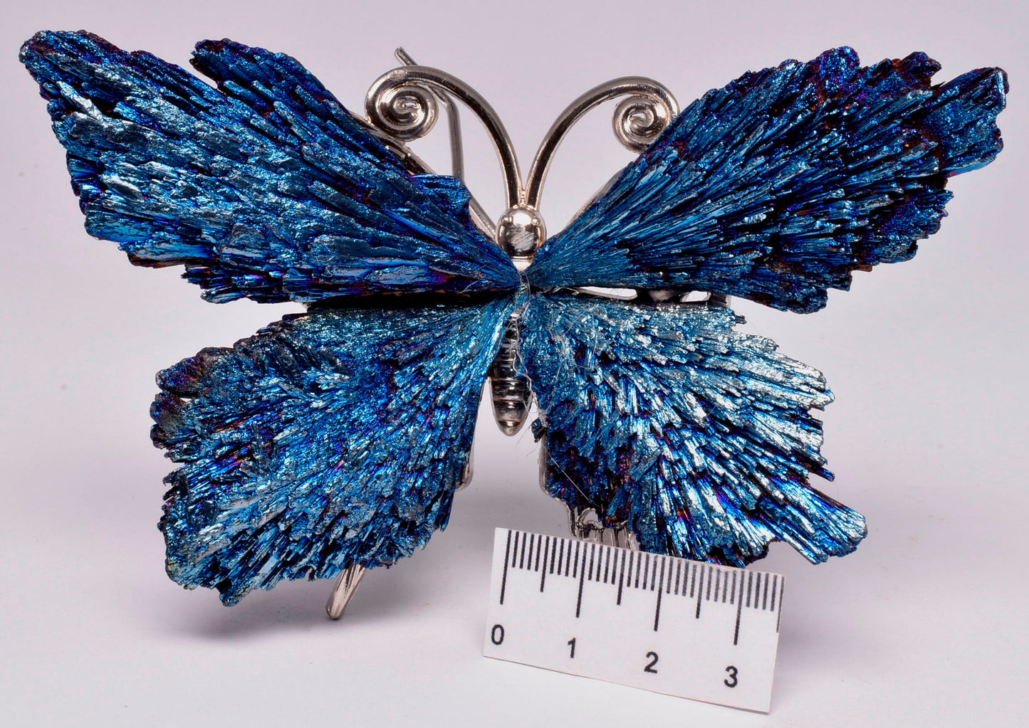 TITANIUM AURA KYANITE BUTTERFLY P183