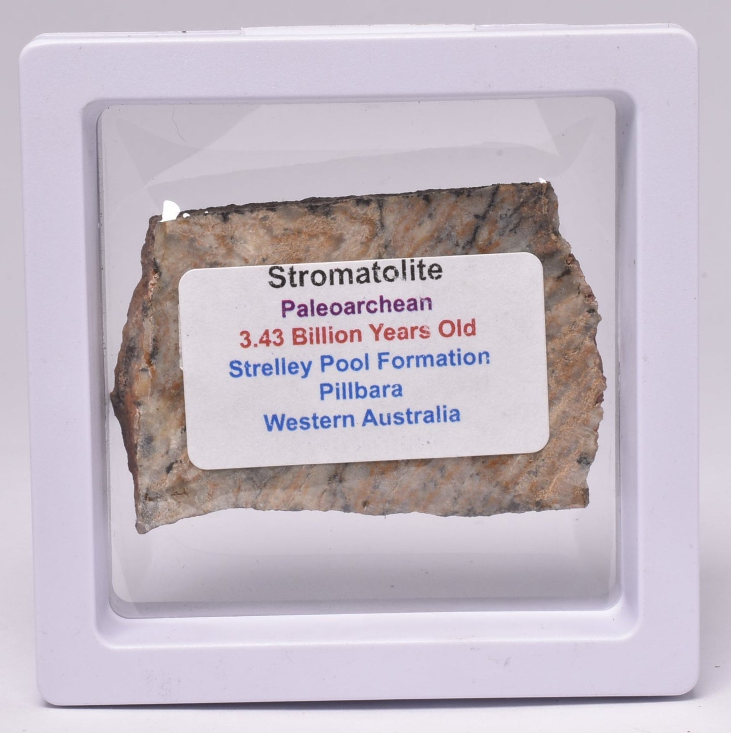 MICROBIAL MAT, STRELLEY POOL SLICE, 3.4byo, Australia S500