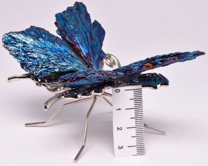 TITANIUM AURA KYANITE BUTTERFLY P183