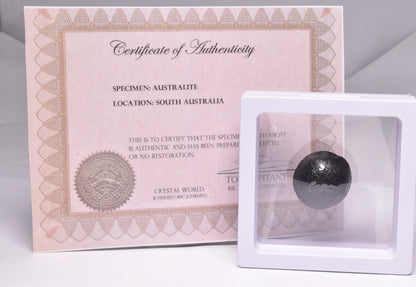 AUSTRALITE, METEORITE FROM SOUTH AUSTRALIA MT234