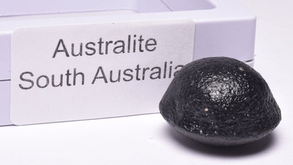 AUSTRALITE, METEORITE FROM SOUTH AUSTRALIA MT234