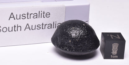 AUSTRALITE, METEORITE FROM SOUTH AUSTRALIA MT234