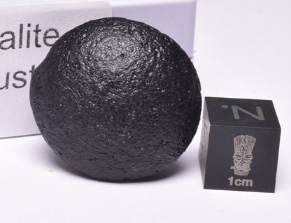 AUSTRALITE, METEORITE FROM SOUTH AUSTRALIA MT234