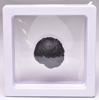 AUSTRALITE, METEORITE FROM SOUTH AUSTRALIA MT235